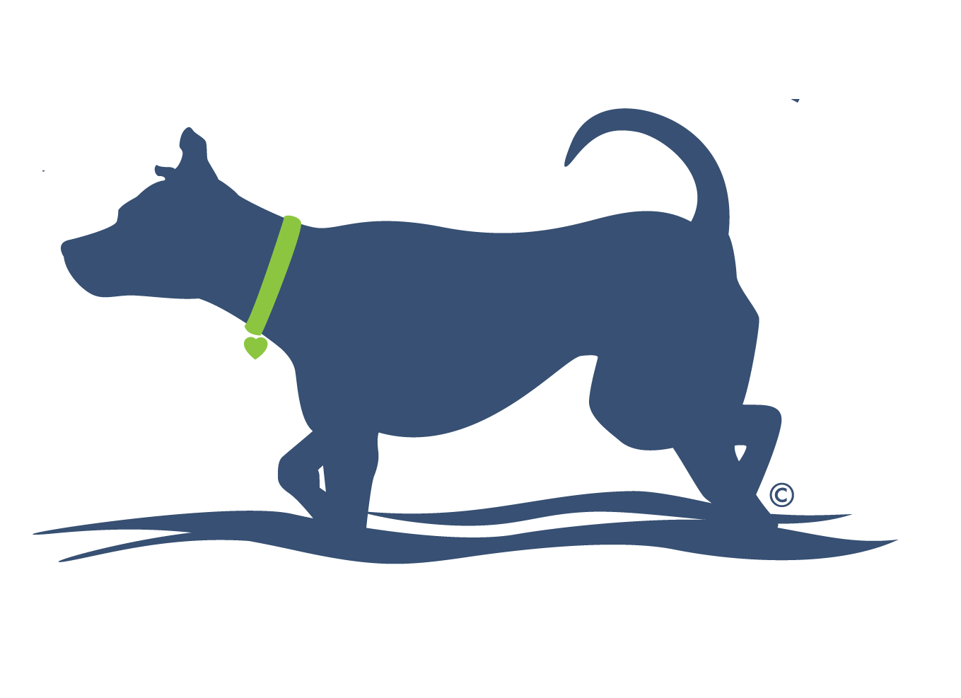 HP_Color_icon